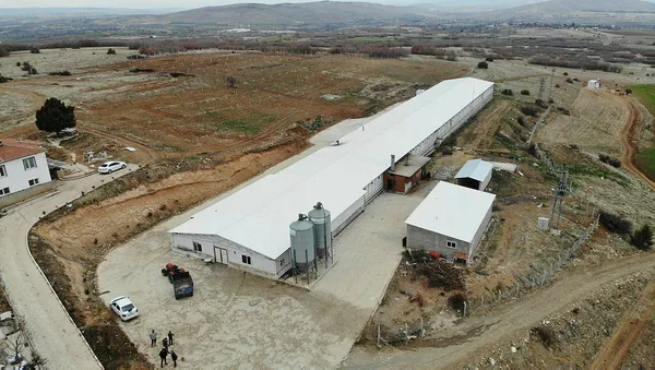 elazigda-bir-basari-hikayesi-devlet-destegi-ile-tavuk-ciftligi-kurdu-yilda-300-bin-tl-kazanmaya-basladi-1616944930217.jpg