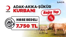 Kurban Bağışı