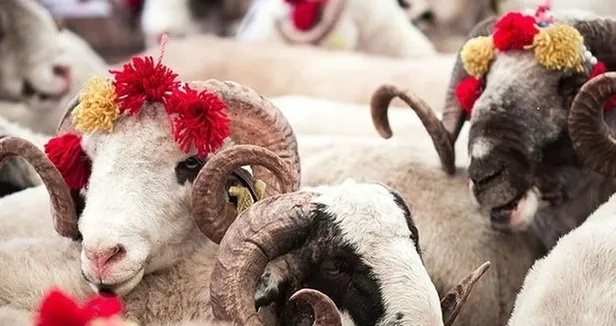 bayram-tatili-birlesti-mi-2022-bayram-tatili-kac-gun-8-13-14-temmuz-tatil-mi-9-gun-tatil-olacak-mi-1656312920000.jpg 8-13-14 Temmuz tatil mi? 9 gün tatil olacak mı? 2022 Bayram tatili kaç gün? BAYRAM TATİLİ BİRLEŞTİ Mİ?-5