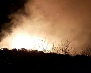 Karadenizdeki orman yangınlarını terör örgütü PKK üstlendi!