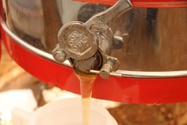 arilar-1500-cicekten-topladi-mersinde-2-bin-rakimli-toros-daglarinin-zirvesinde-bag-sagimi-basladi-1627457662133.jpg Arılar 1500 çiçekten topladı! Mersin'de 2 bin rakımlı Toros Dağları'nın zirvesinde bağ sağımı başladı-3