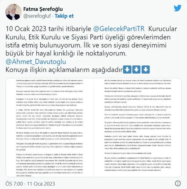 Ahmet Davutoğlu'nun Gelecek Partisi'nde taciz istifası! Şok sözler: 'Partide kadınlara taciz var, tacizciler korunuyor!'-3