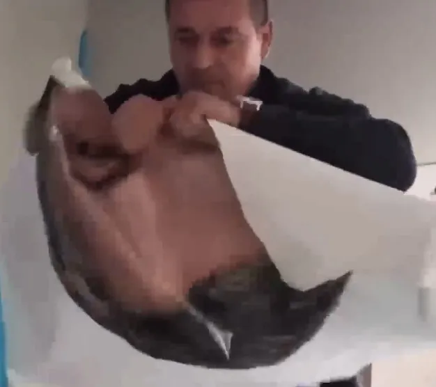 1785087507491.jpeg CHP Düzce İl Başkanlığı'nda olaylı gün! Özel ve İmamoğlu'nun pankartları yırtıldı-4