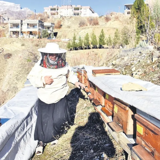Şırnak’ta azmin hikâyesi! 71 yaşında arıcılık yaparak 5 üniversiteli yetiştirdi