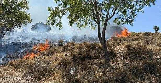 Bodrum Göltürkbükü'nde makilik yangını: Havadan karadan müdahale!