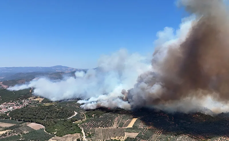 Orman Yangını (AJANSLAR)