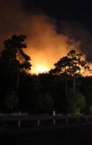 Son dakika: Antalya'da üç ayrı noktada yangın