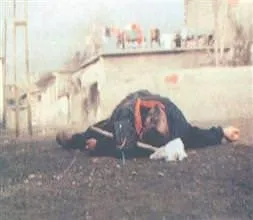 Kanlı Nevruz'un tanıkları konuştu!