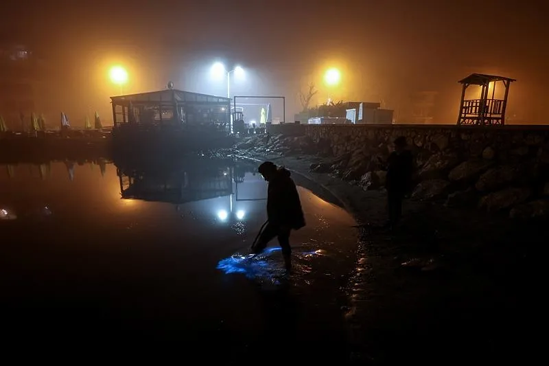 Bursa'da şaşırtan görüntü! Marmara kıyılarında planktonların çoğalmasıyla deniz suyu yer yer renk değiştirdi: Mavi renkli parlamalar ortaya çıktı-5