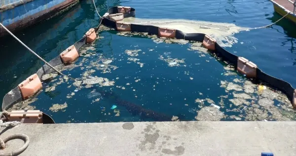 son-dakika-istanbul-universitesi-su-bilimleri-fakultesi-marmara-denizindeki-musilaji-deniz-salyasi-dogal-ortaminda-deniz-bakteri-izolatlariyla-temizle-1623659603943.jpg SON DAKİKA: İstanbul Üniversitesi Su Bilimleri Fakültesi Marmara Denizi'ndeki müsilajı (deniz salyası) doğal ortamında deniz bakteri izolatlarıyla temizledi-4