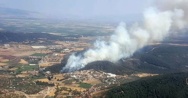 İzmir’de ormanlık alanda yangın