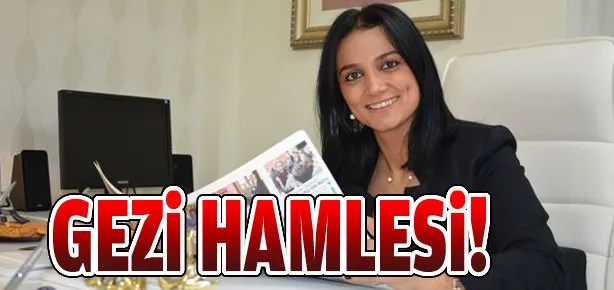 Gezi hamlesi