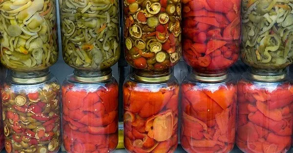 ruyada tursu gormek ne anlama gelir takvim
