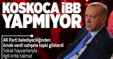 Başkan Erdoğan’dan CHP’li İBB’ye barınak tepkisi