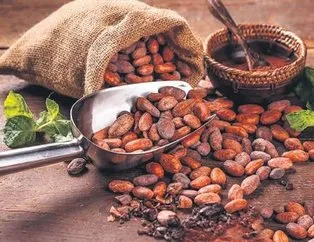 Kilolara kakao