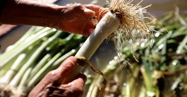 Dayanılmaz migren ağrılarını kesen besinler nelerdir?
