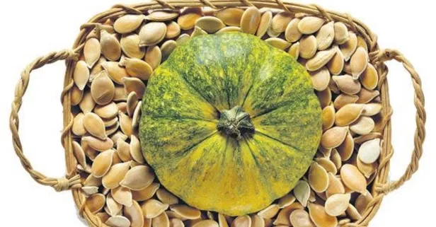 Çitleyin sakinleşin