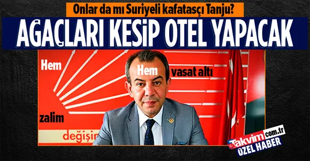 CHP'nin zalim Bolu beyi Tanju Özcan boyundan büyük işlere kalkıştı! Fındık Gen Bankası’nı da ortadan kaldırdı