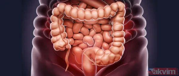 35 yaşındaki Alice Norris hamilelikten sandığı belirtilerin bağırsak kanseri olduğunu öğrendi - 6