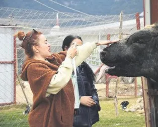 Huzuru buldu