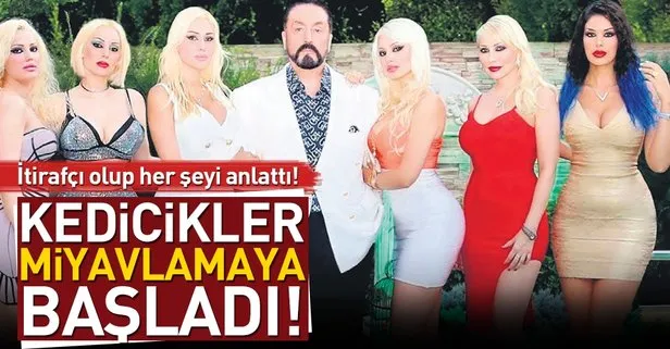 Bir kedi miyav dedi!