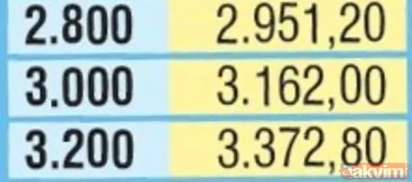 Emekliler 2021 Ocak ayında ne kadar zam alacak? Emeklinin ocak maaşı kaç lira olacak? - 9