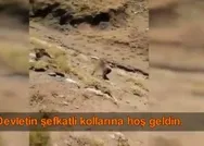 Terör örgütü PKK çözülüyor: Devletin şefkatli kollarına hoş geldin