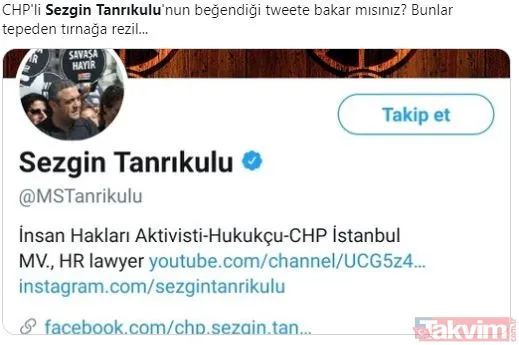 CHP'li Sezgin Tanrıkulu porno videosunu beğendi! Sosyal medya yıkıldı... - 1