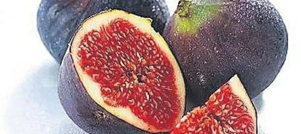 Kır z'incir'lerini!