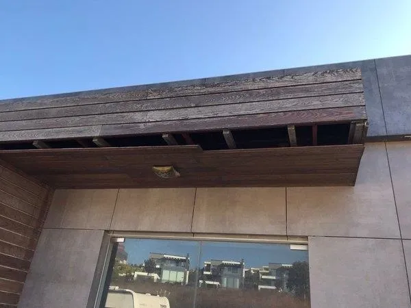 CHP’li Hayri Türkyılmaz milli serveti çürümeye terk etti-4