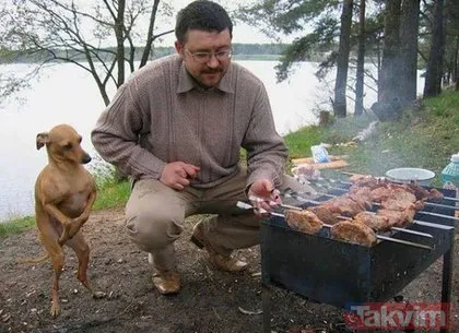 Köpeklerin yemeklerle olan imtihanları