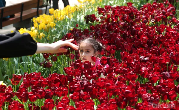 İstanbul Gülhane Parkı 10 katı ziyaretçi ağırladı! Laleler talan edildi - 10