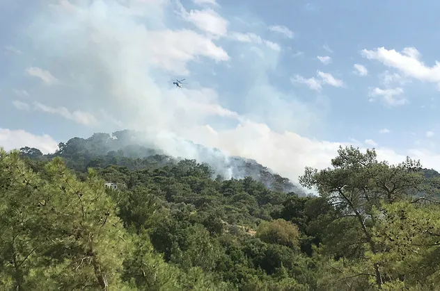 Son dakika haberi: Bodrum'da orman yangını