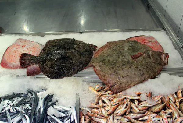 sinopta-kalkan-kilosu-200-liradan-tezgahta-yerini-aldi-1607348209599.jpg Sinop'ta kalkanın kilosu 200 liradan tezgahta yerini aldı-4