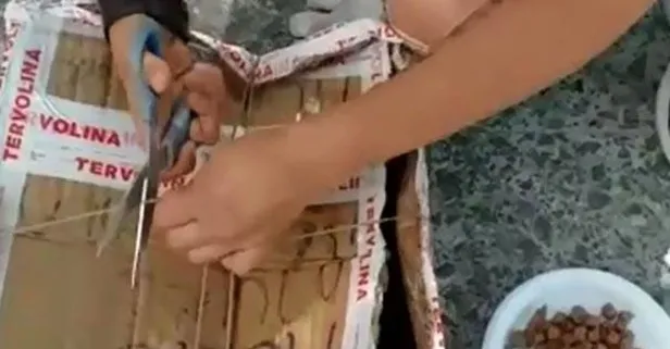 Bozcaada'da büyük vicdansızlık! Ölüme terk ettiler