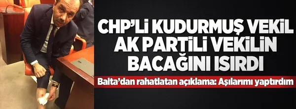 Meclis'te 'dikkat köpek giremez' afişi-2