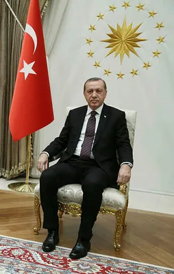 Erdoğan Steinmeier ile telefonda görüştü
