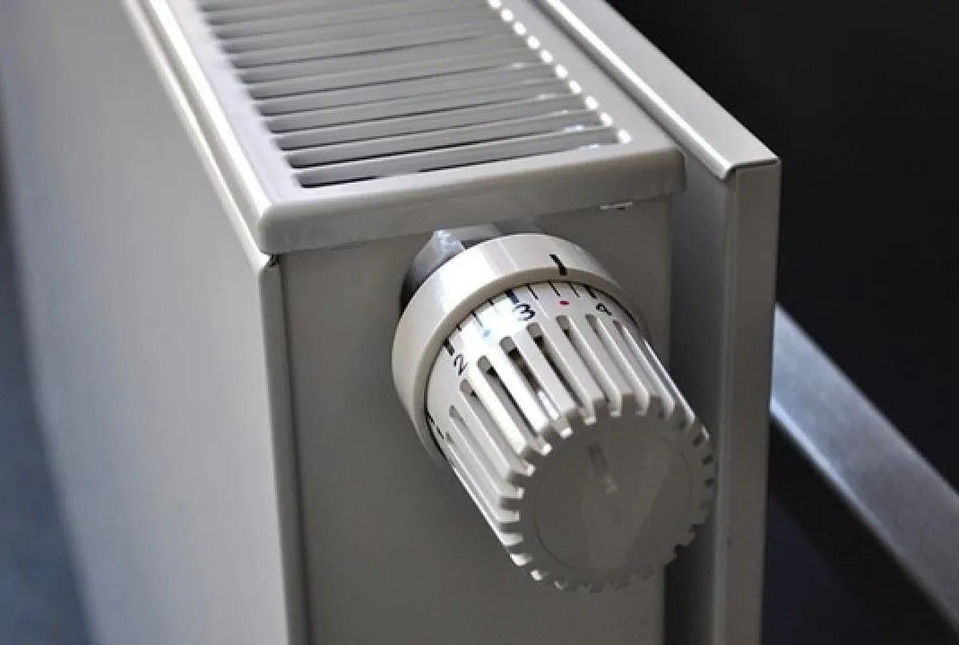 Fransa’da şok rapor