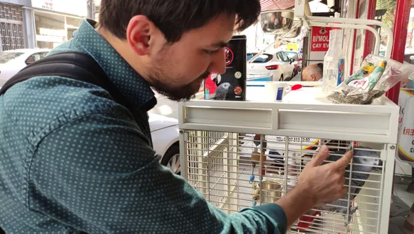 sakaci-papagan-haluk-taklit-hunerleriyle-sokaktan-gecenleri-kandiriyor-1631271357537.jpg Şakacı papağan 'Haluk' taklit hünerleriyle sokaktan geçenleri kandırıyor-2