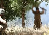 Terör örgütü PKKda çözülme sürüyor! 1 terörist daha teslim oldu
