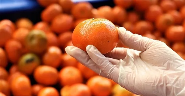 İşte turuncunun sırrını çözen araştırma