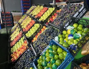 Halde kış bereketi fiyatlara yansıyacak