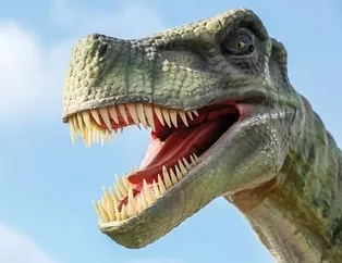 Rüyada dinozor görmek ne anlama gelir? Rüyada dinozor görmek neye işarettir? Rüyada dinozor görmenin anlamı, yorumu
