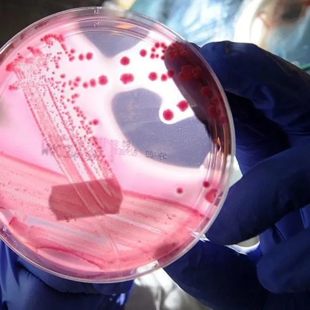 Pankreasın şifası kırmızı