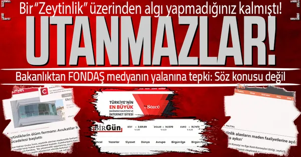 Sözcü, Birgün, Cumhuriyet, Gazete Duvar'ın "zeytinlikler" yalanına Enerji ve Tabii Kaynaklar Bakanlığı'ndan yanıt-1