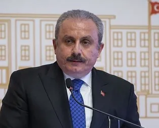 Başkan Şentop Gence’de