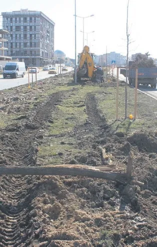 Bir ağaç katliamı da Tekirdağ’da! CHP'li belediye 100'e yakın ağacı sebepsiz yere söktü