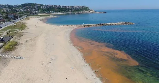 Karadeniz’deki renk değişiminin sırrı çözüldü! Su turuncuya dönmüştü
