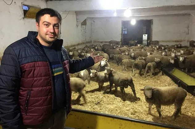 Bursa'da herkes İle de France ırkına mensup kuzuların peşinde