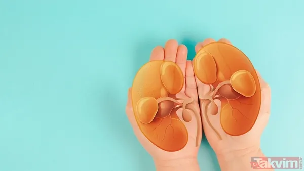 Diyaliz uygulamalarında oruç bozulur mu? Diyanet açıkladı! - 6